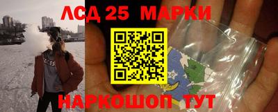 Альфа ПВП Малгобек