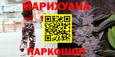 Альфа ПВП Малгобек