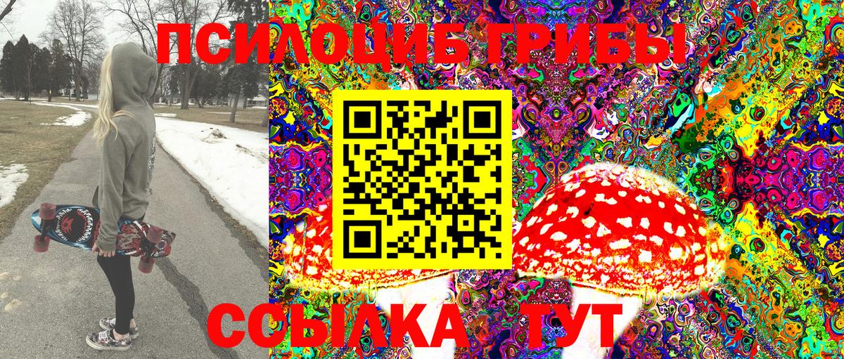 Псилоцибиновые грибы Psilocybe Тимашёвск